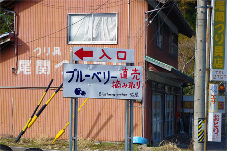 ブルーベリー農園入り口