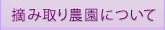 摘み取り農園について